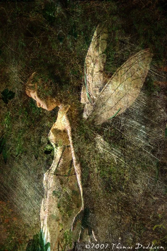 Titania