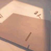 wlgif.gif