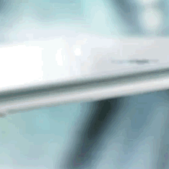 acer2.gif