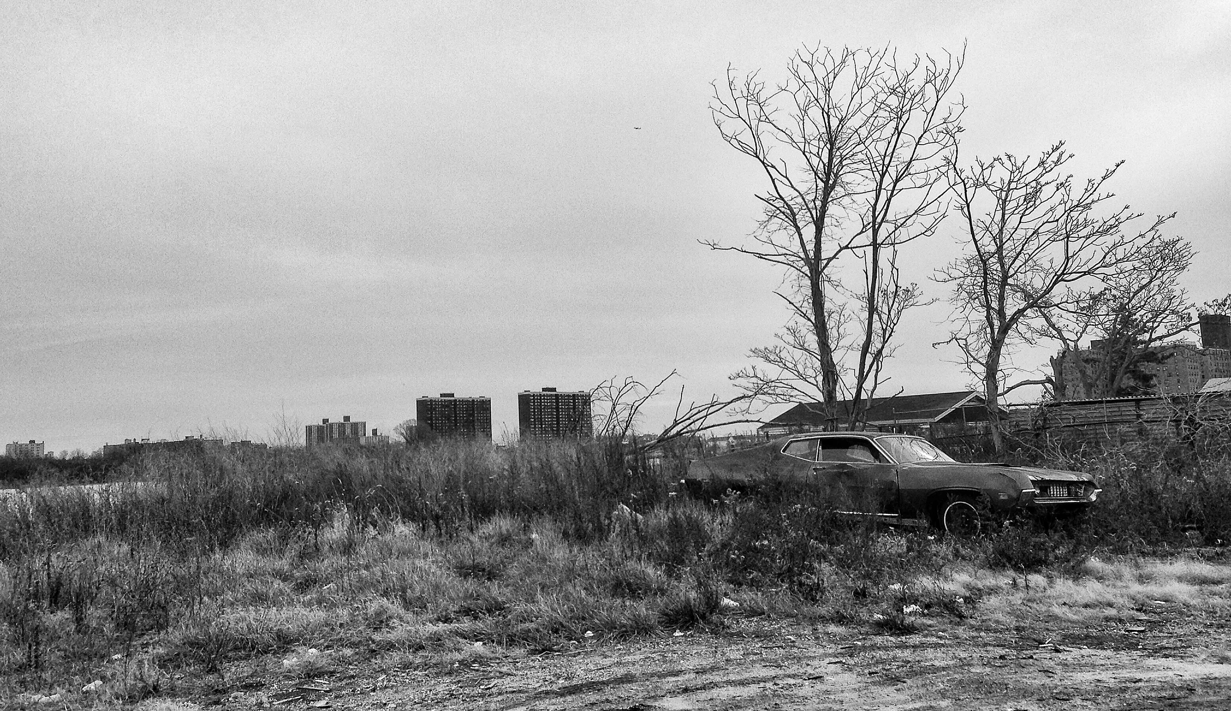 Abandoned in Rockaway