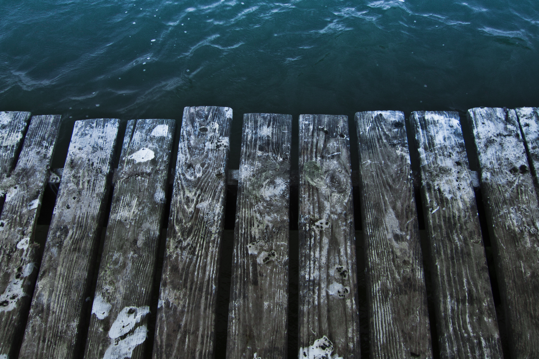 DSCF1213.jpg