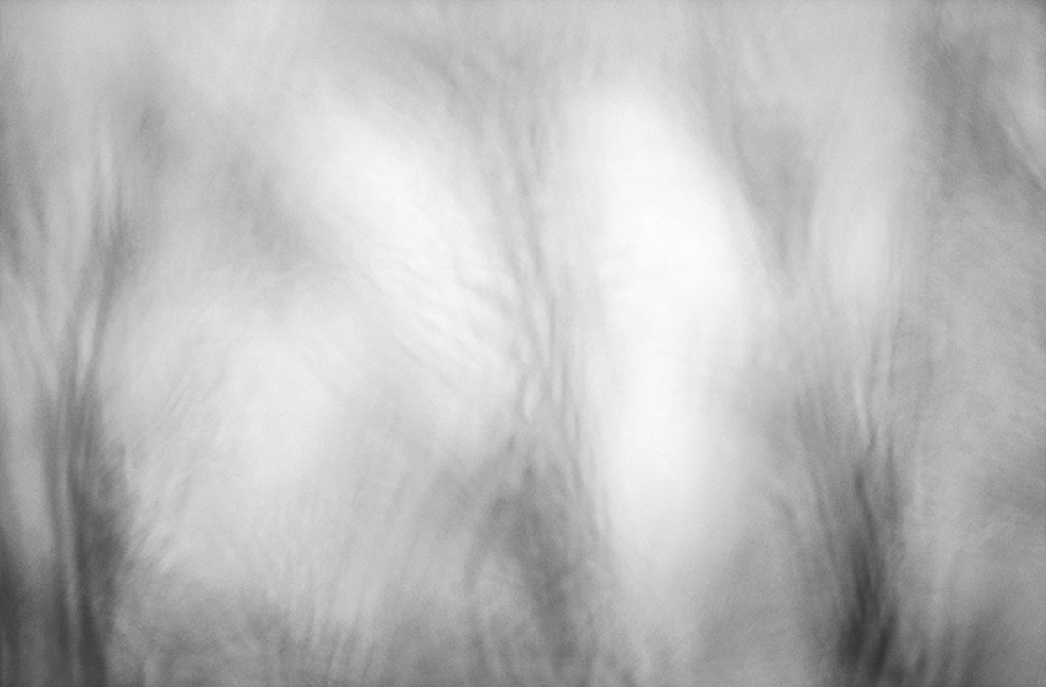 White 03