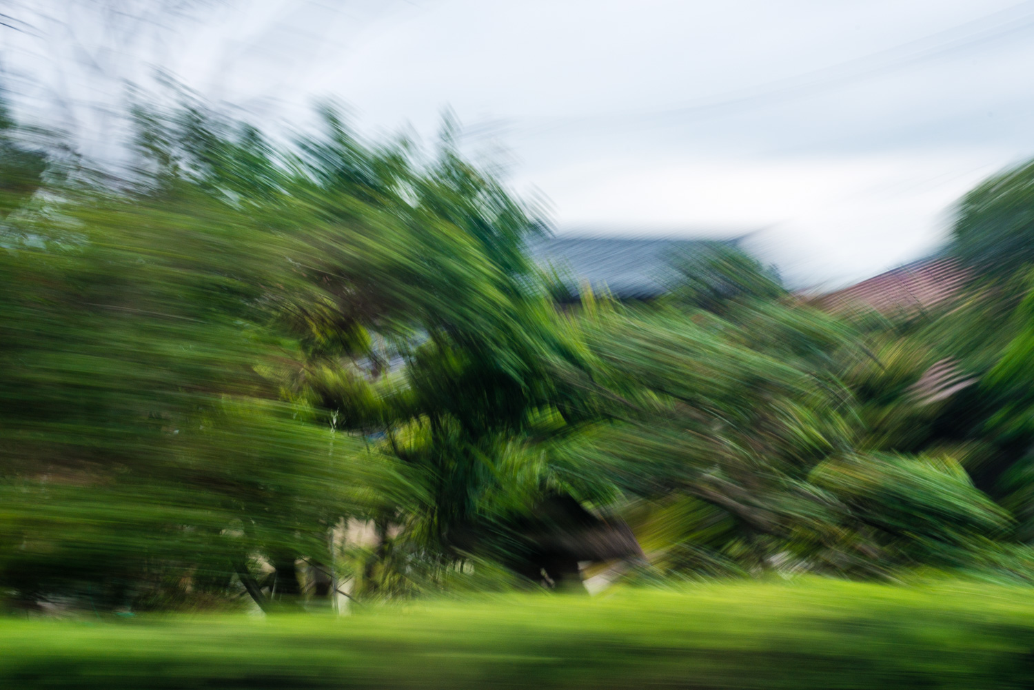 kanazawa5.jpg