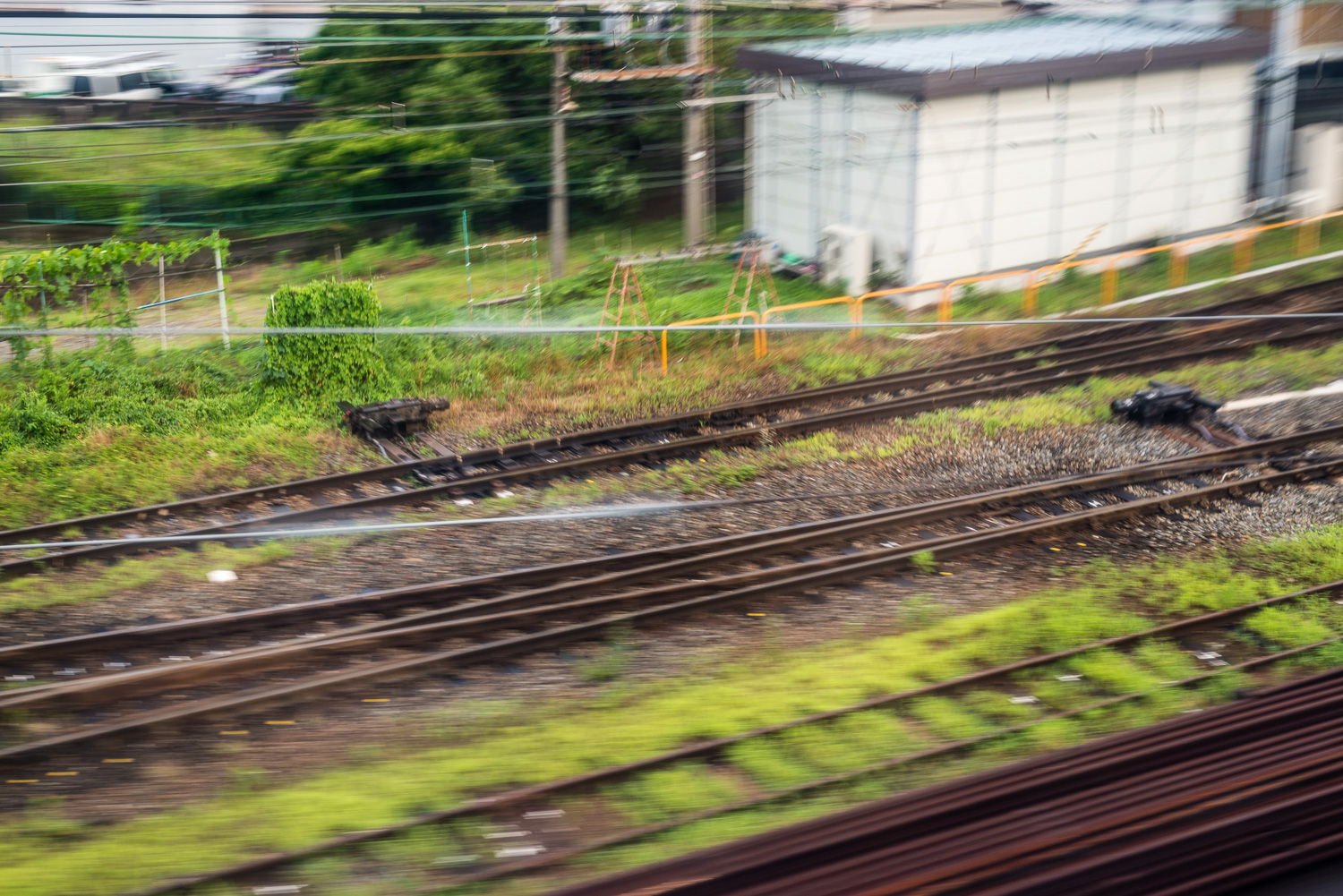 kanazawa24.jpg
