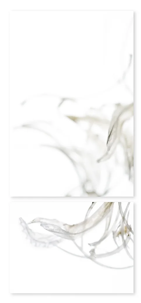 Remains 02