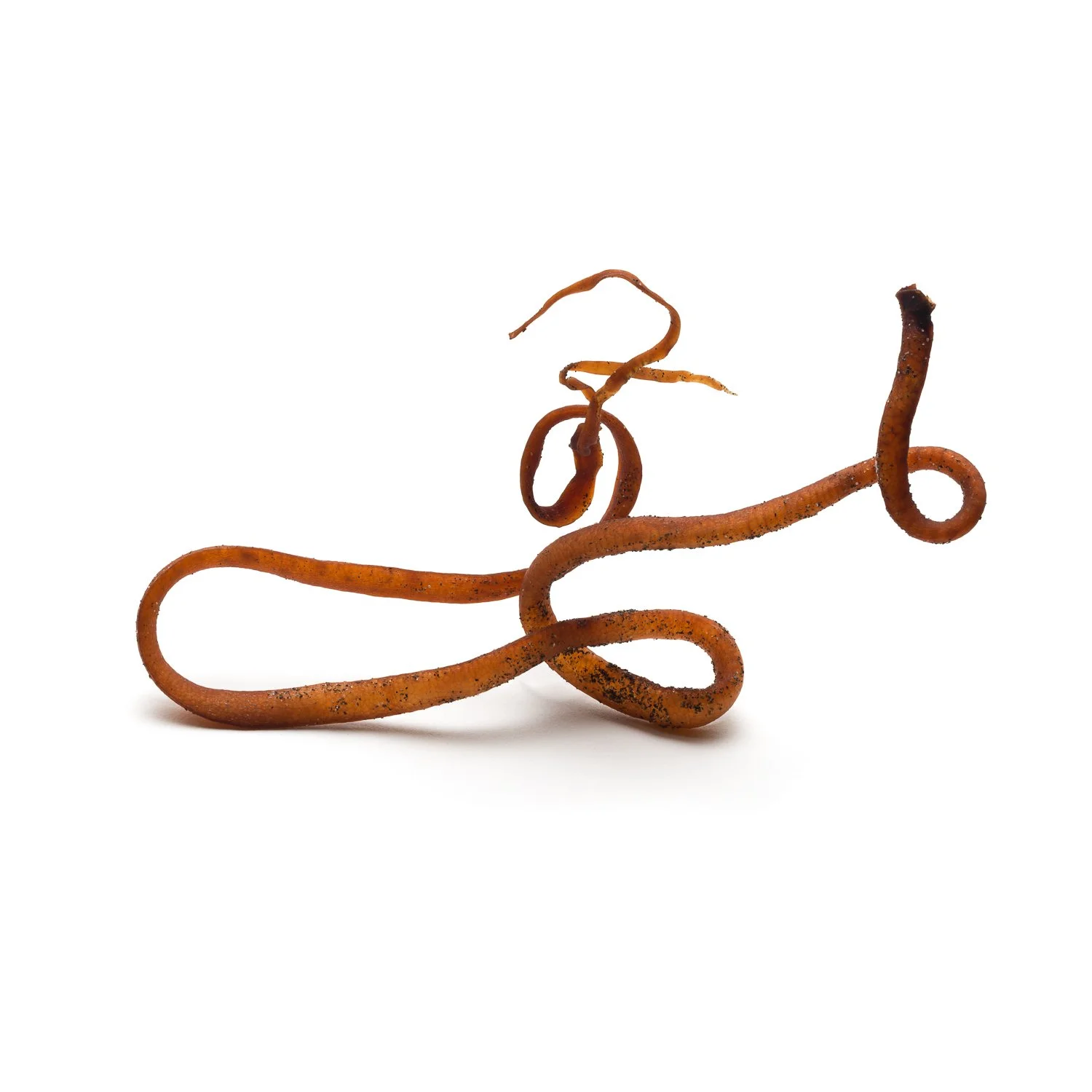 Not So Floating-8.jpg