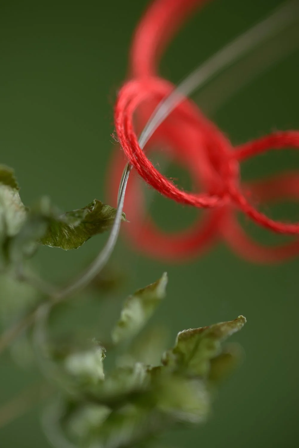 String Theory-1.jpg
