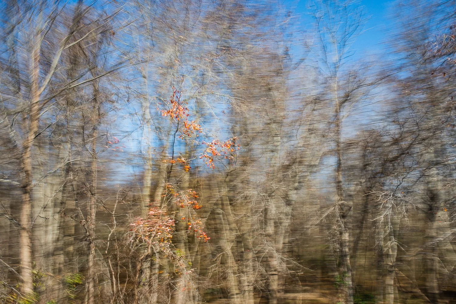 In Passing Nature-5.jpg