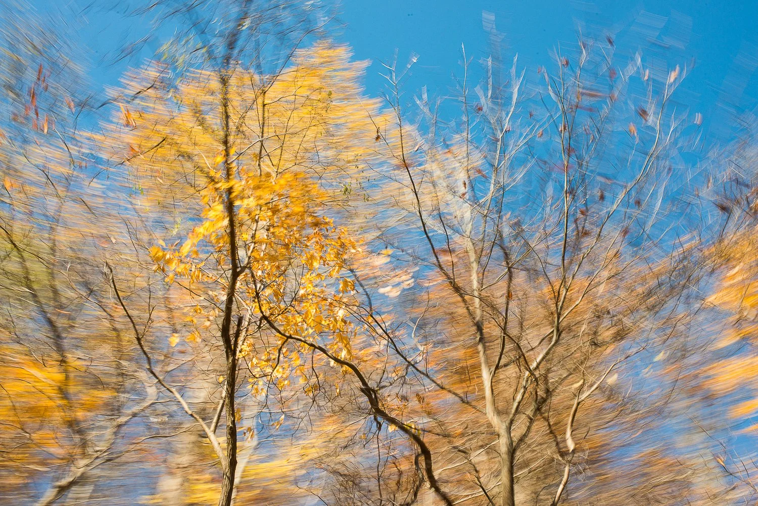 In Passing Nature-7.jpg