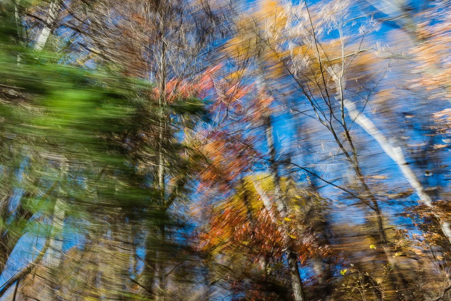 In Passing Nature-8.jpg