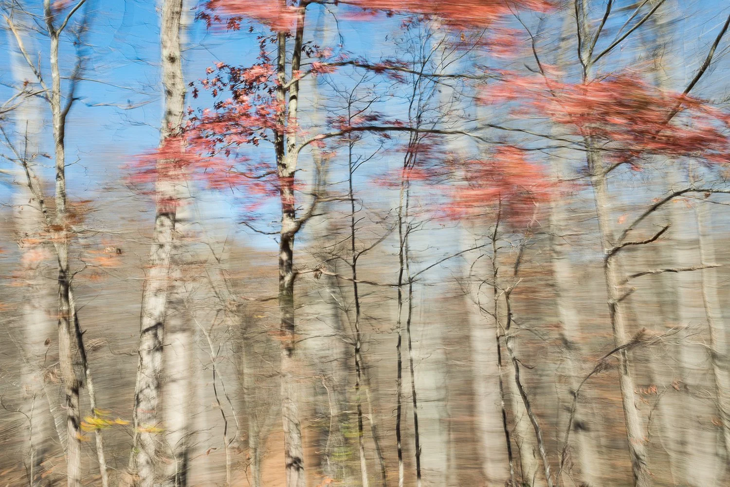 In Passing Nature-11.jpg