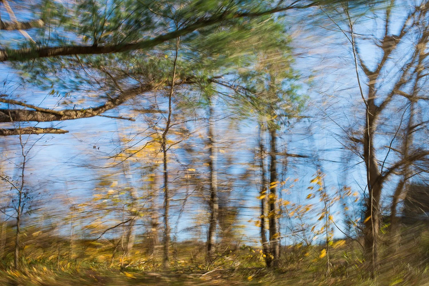 In Passing Nature-13.jpg