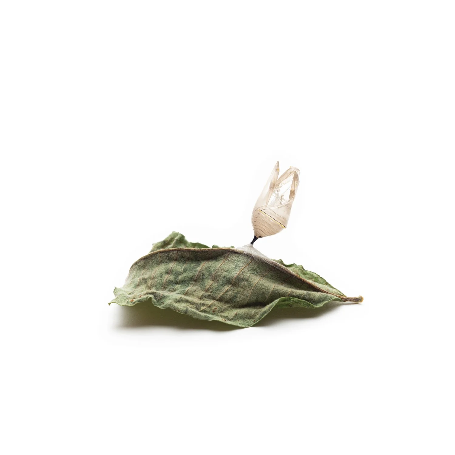 Not So Floating-9a.jpg