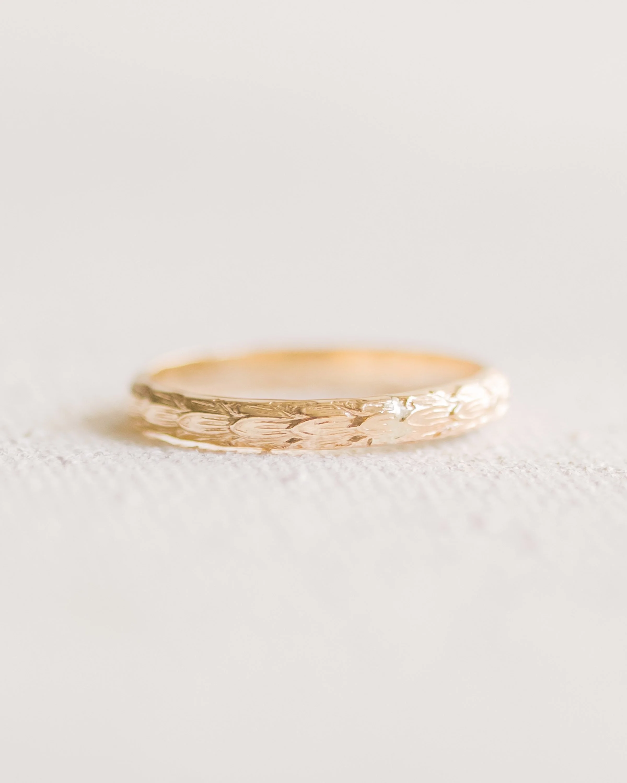 R1399ju.jpg
