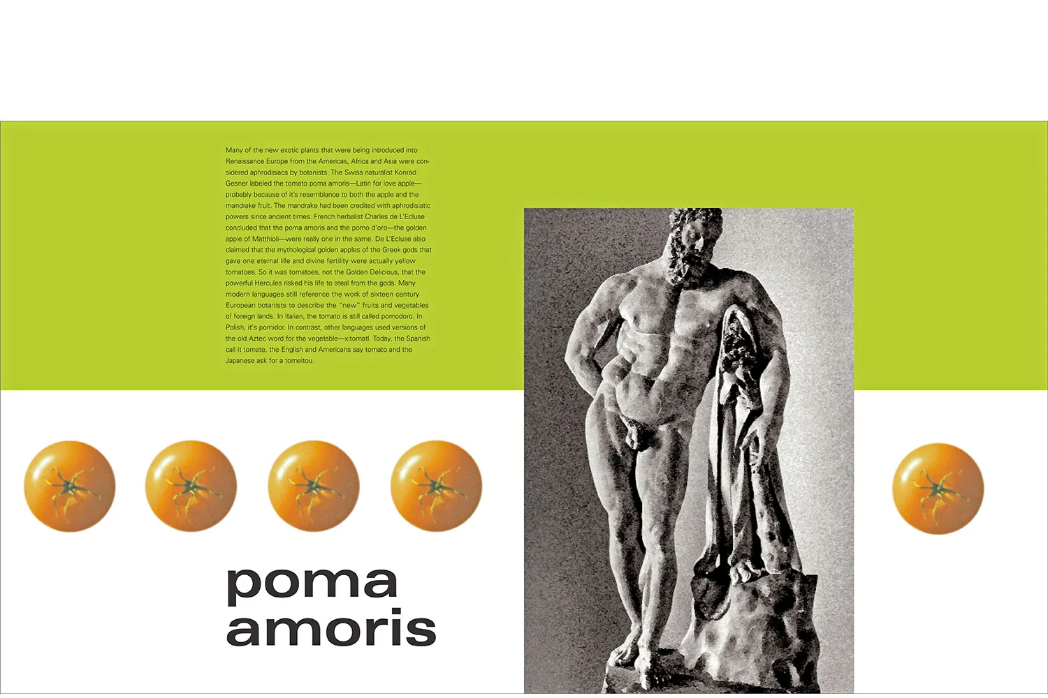 booktomato15.jpg
