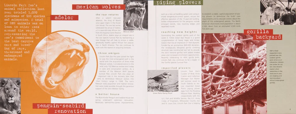 ar_lpz1996_5_spread.jpg