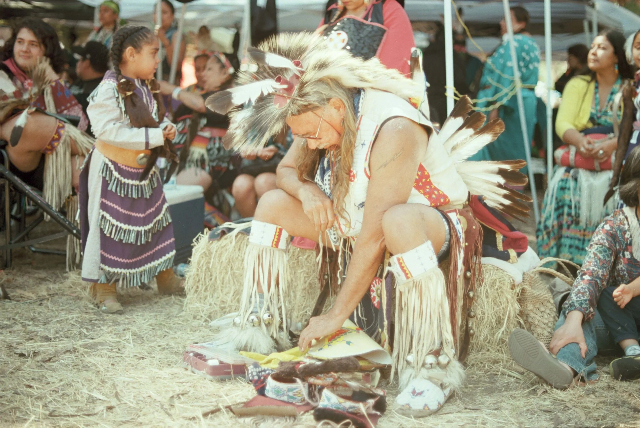 The California indians | California 2015