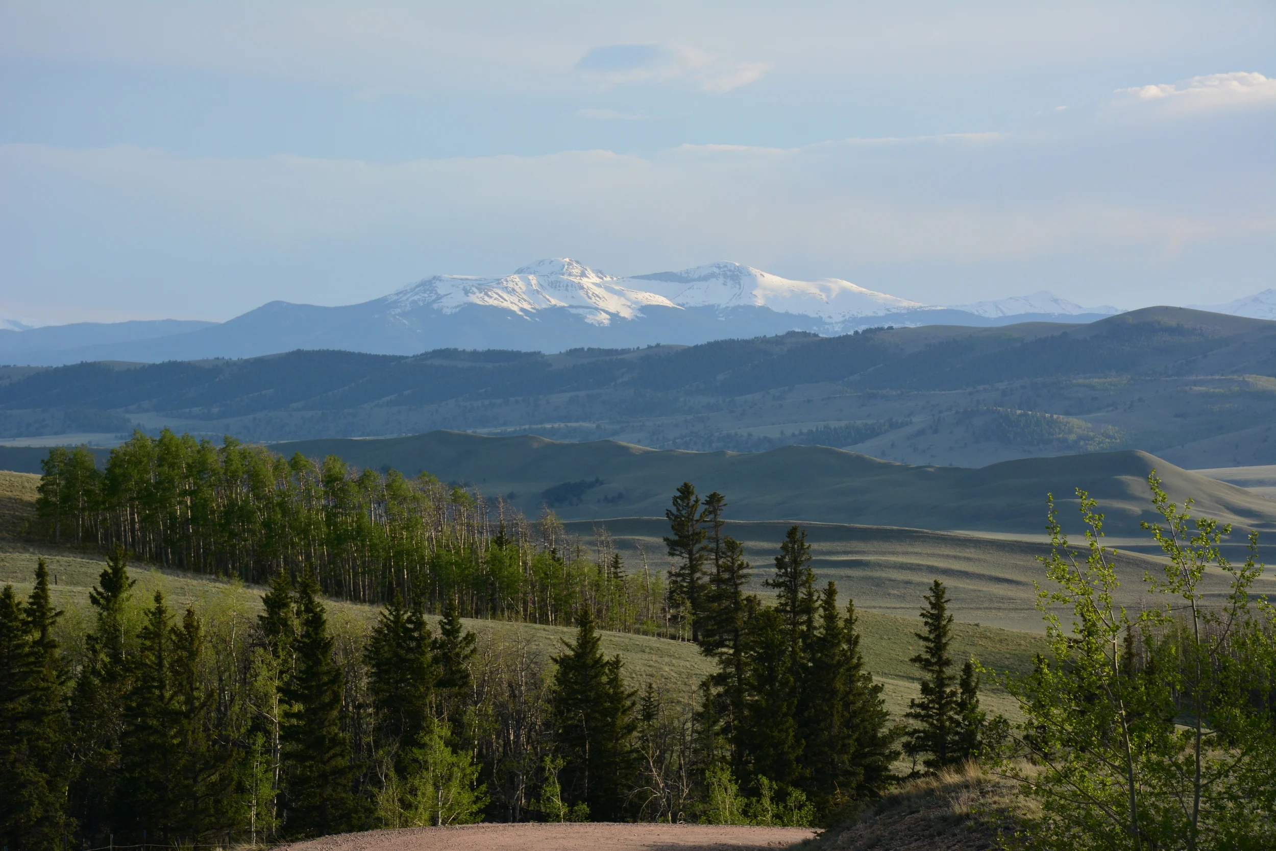DSC_1973.JPG