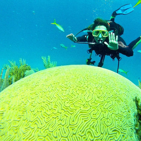 Me, diving in Cayo Levisa, checking out this incredible Brain Coral
