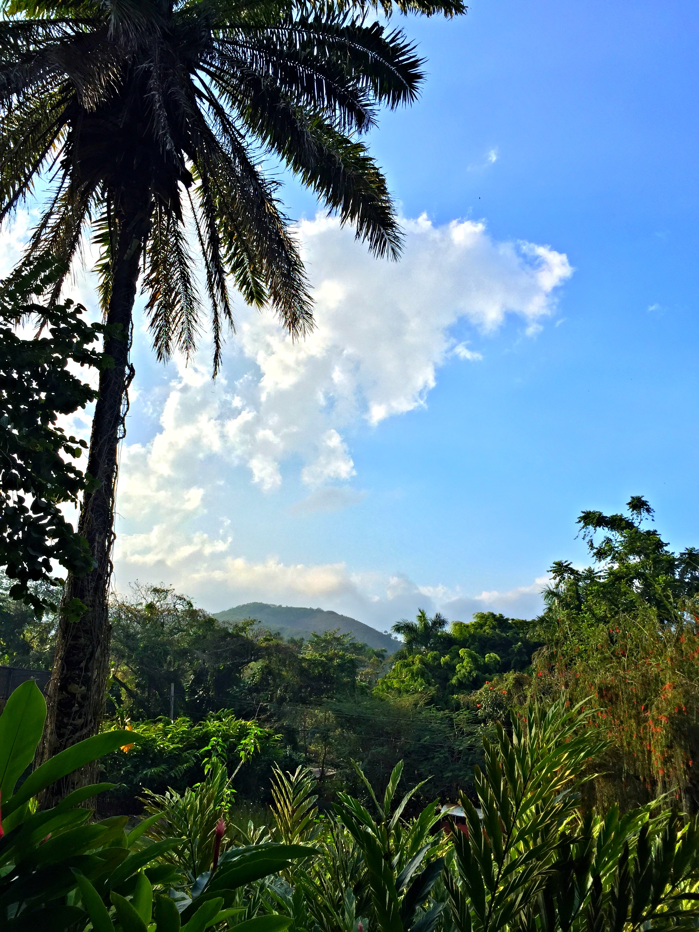 Vinales, Cuba