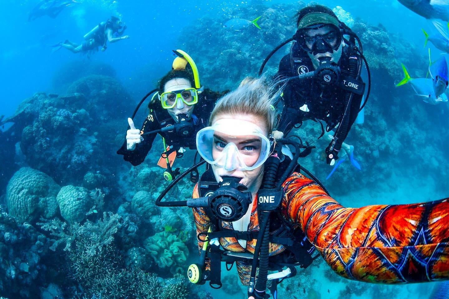 🧜&zwj;♀️🧜&zwj;♀️🧜&zwj;♀️ 🤿🤿🤿
Just three real-life mermaid adventure women!
The most amazing dive photographer ever @dive_down_under and the most wonderful guide @indiahhodgson!

Vessel: @downundercruiseanddive 
The most amazing dive crew and bo