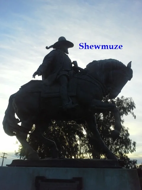 Shewmuze Rider