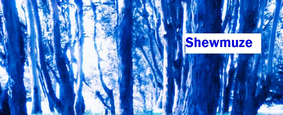 Shewmuze Blue Forest