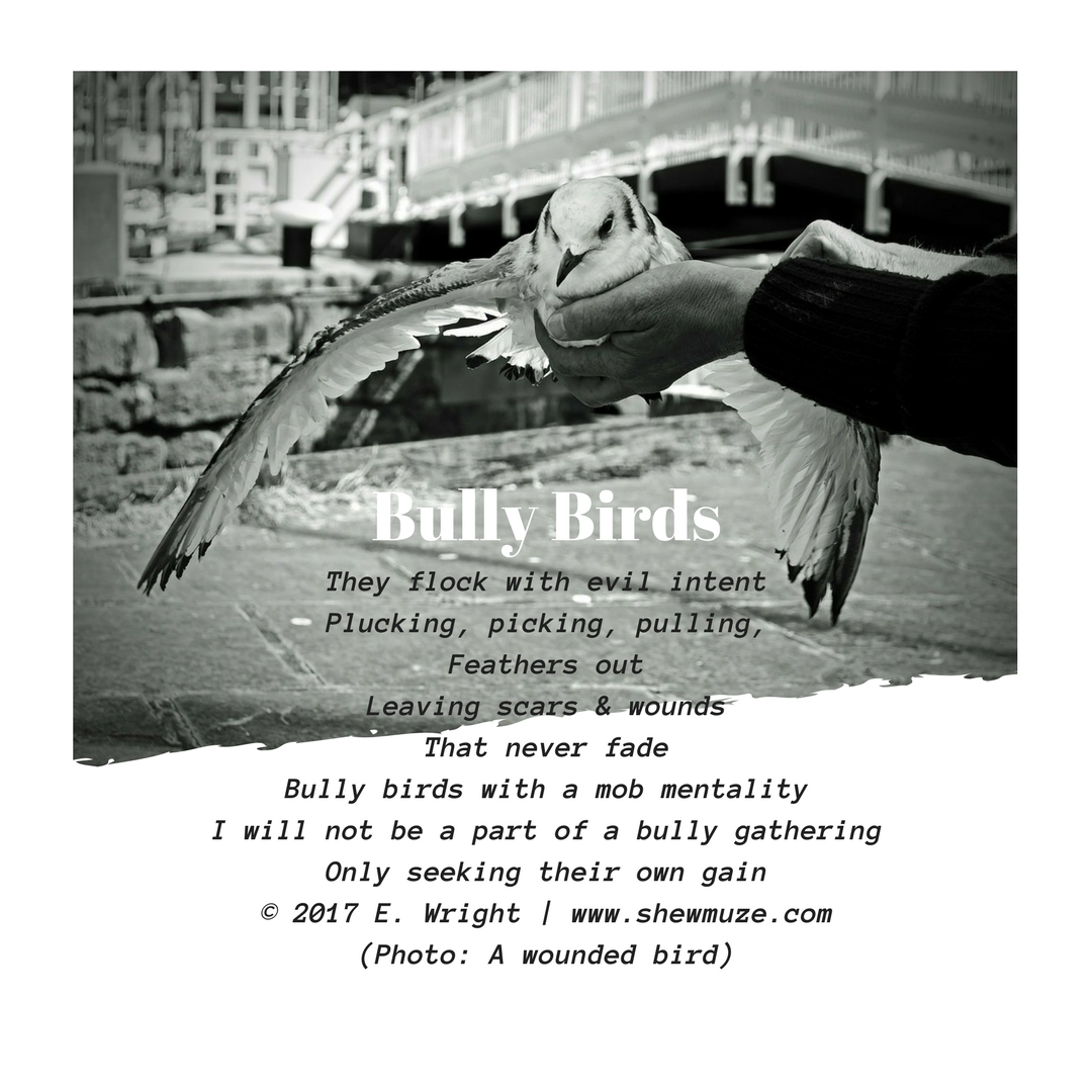 Bully Birds © 2017 E. Wright