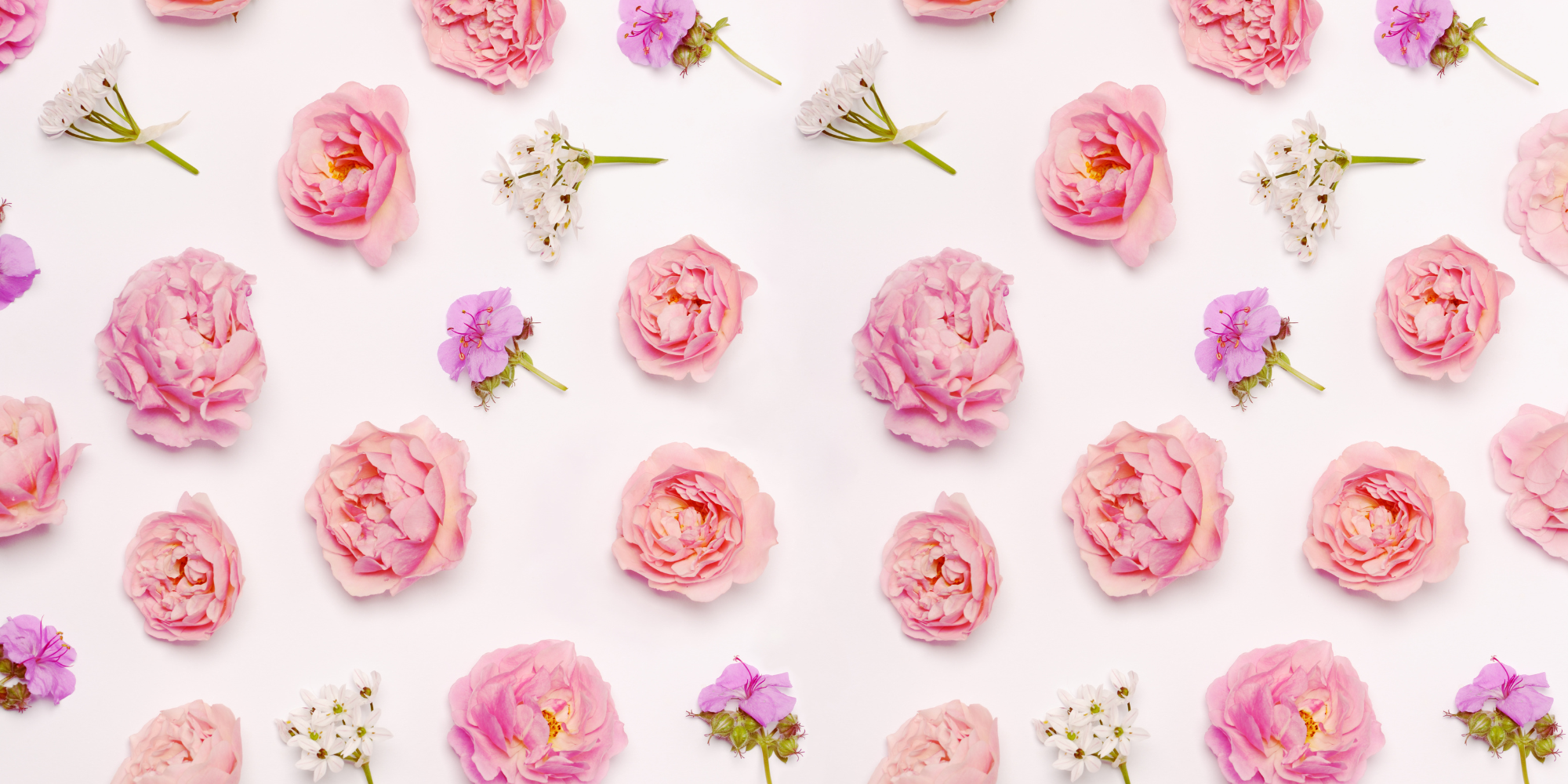 Untitled design (10).png