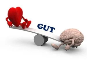 head heart gut.jpg