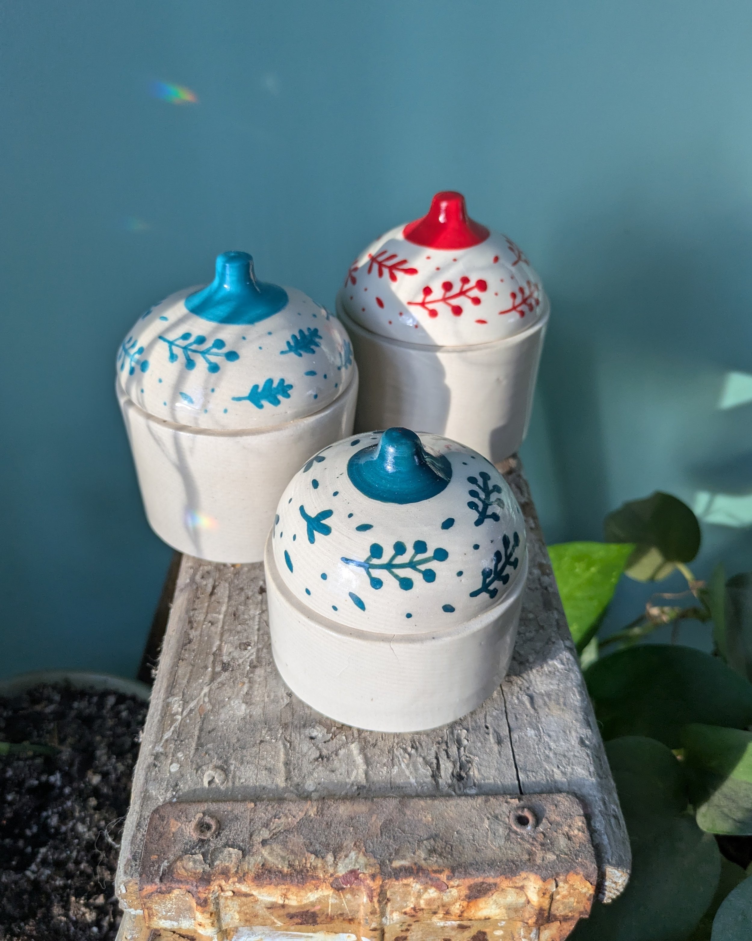 PXL_20251212_133646923.MP - Copy.jpg