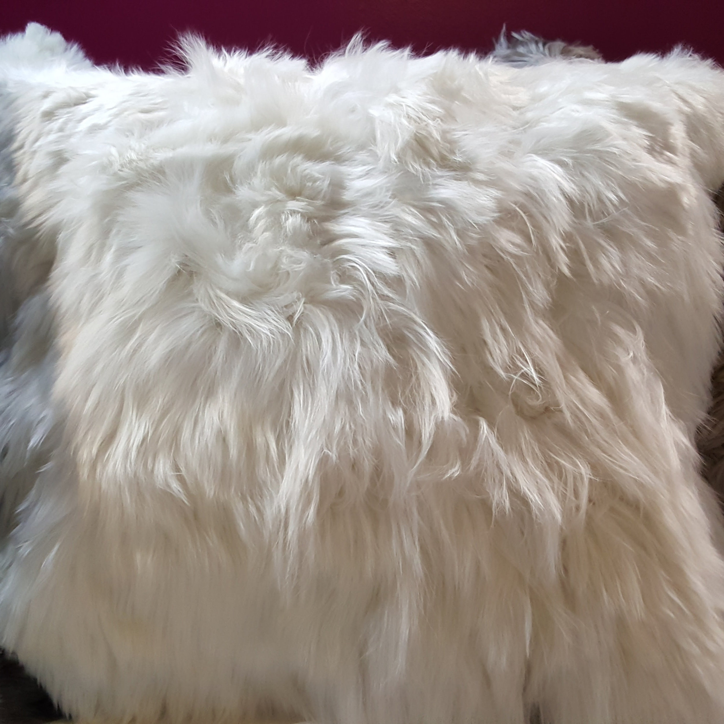 Pillow Cushions — Alpaca Brava