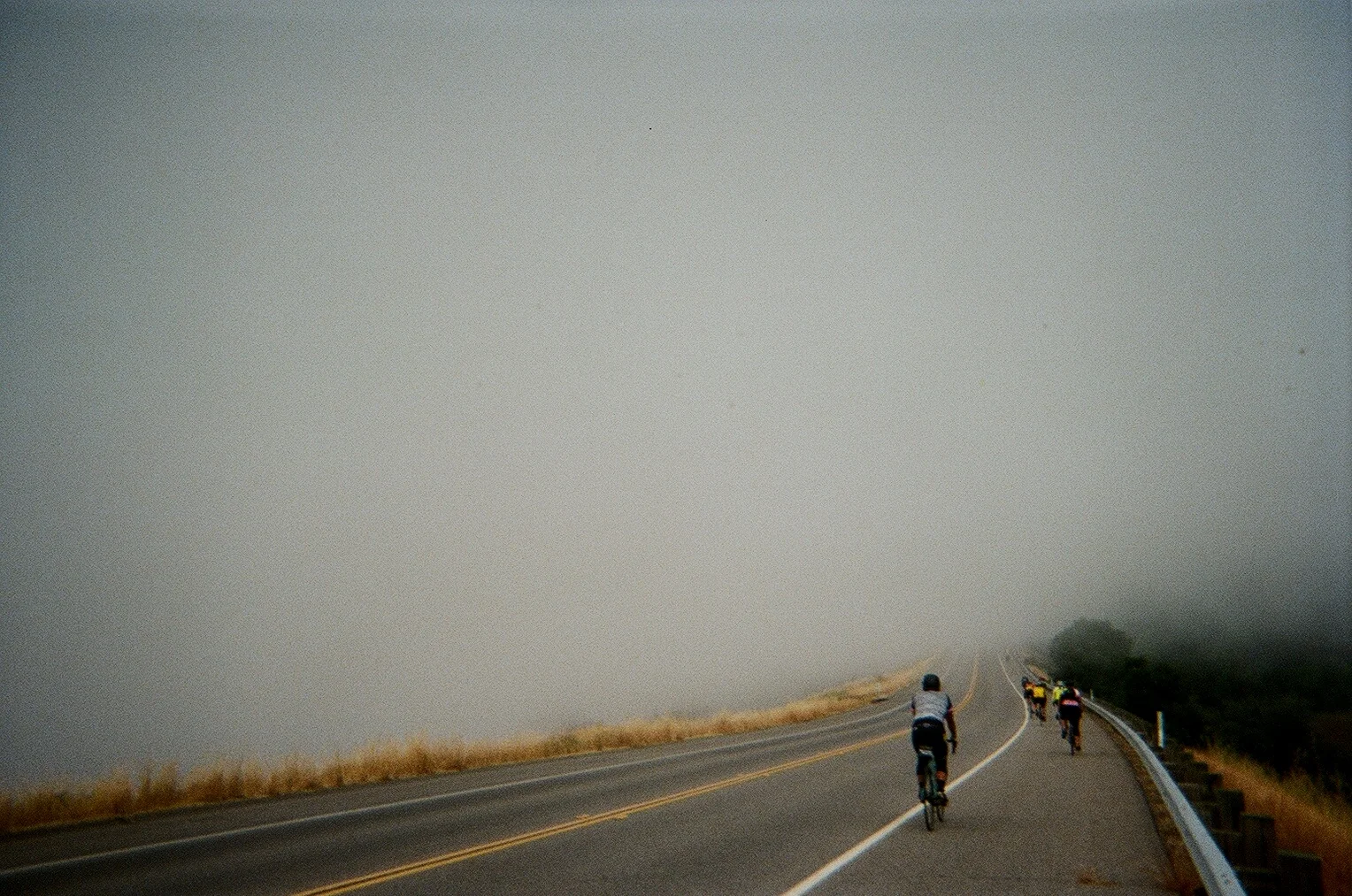  Somewhere in the foggy rolling hills of the Northern California coast 