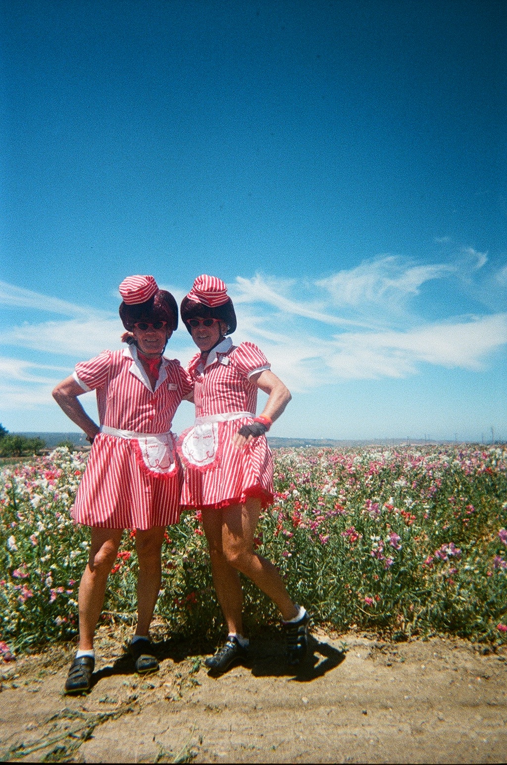  A few damsels in a field of sweet peas en route 