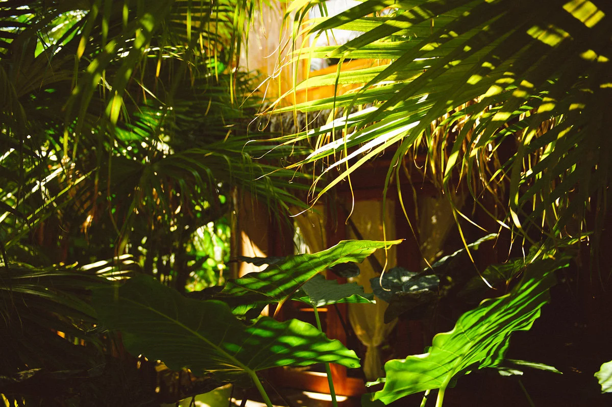 bettewalkerphotography110.jpg