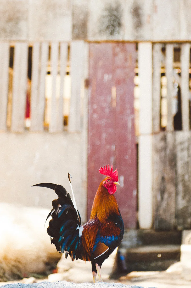 bettewalkerphotography97.jpg