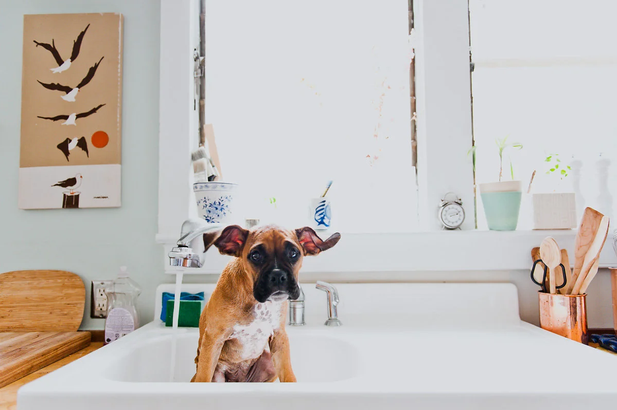 bettewalkerphotography51.jpg
