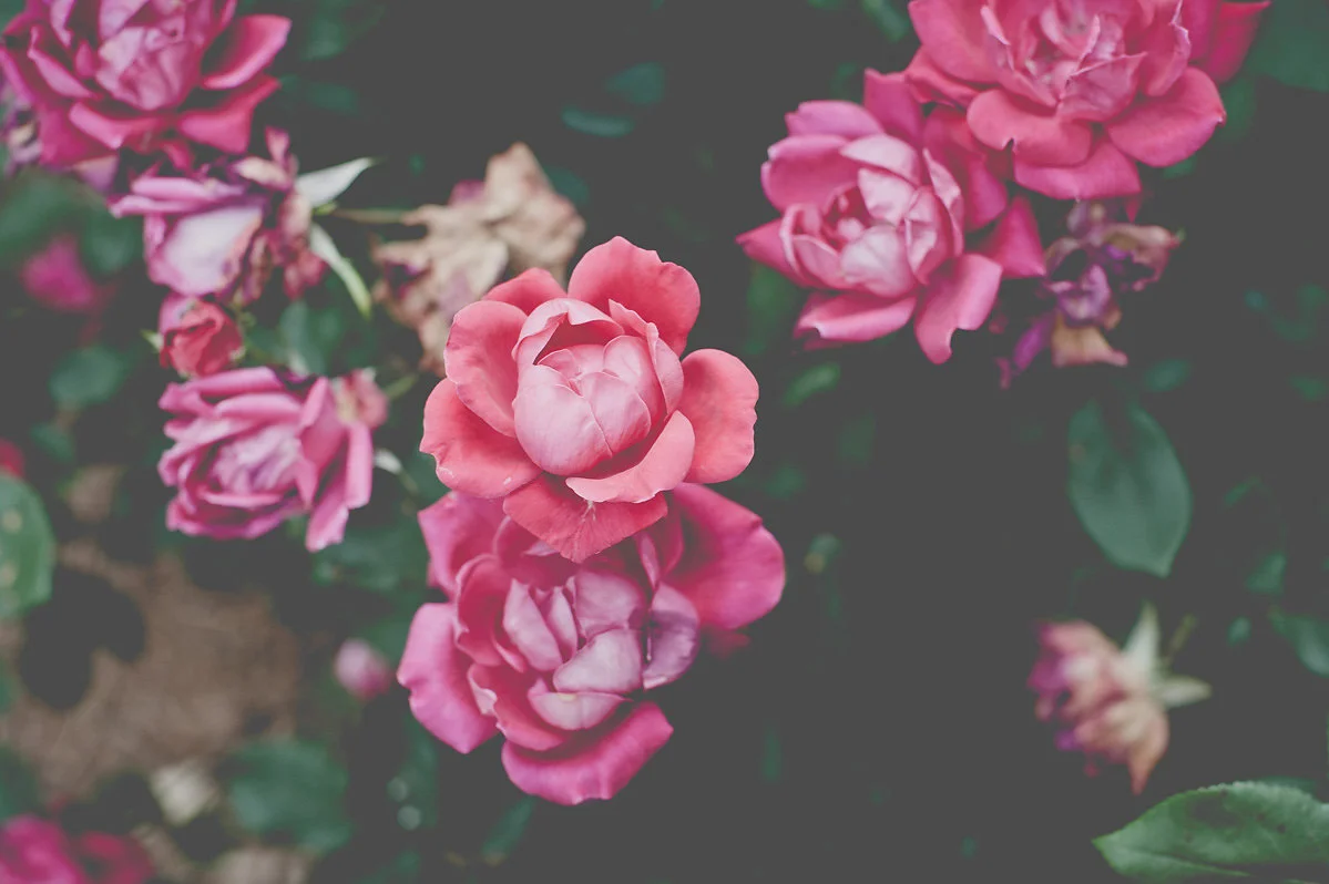 bettewalkerphotography57.jpg