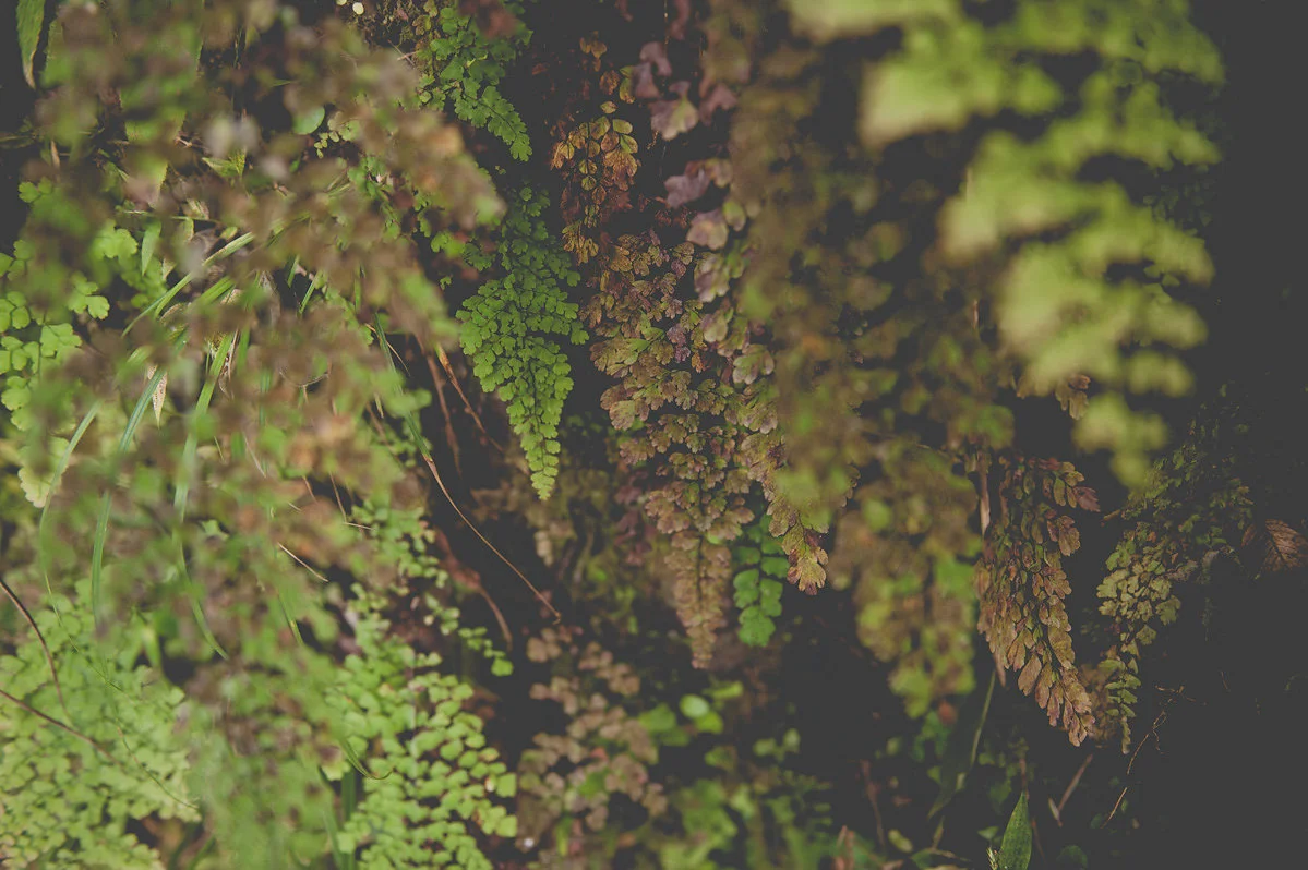 bettewalkerphotography59.jpg
