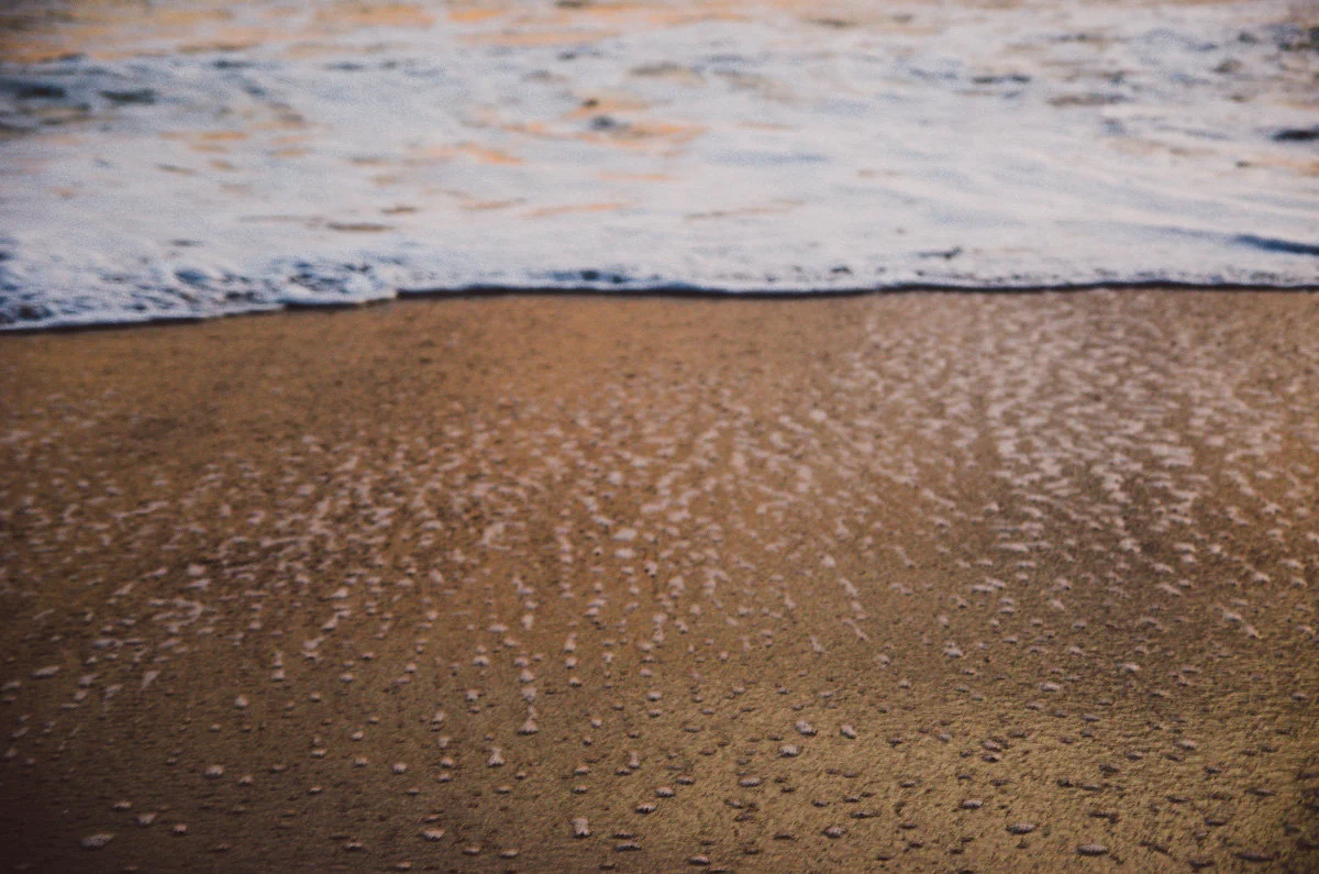 bettewalkerphotography62.jpg