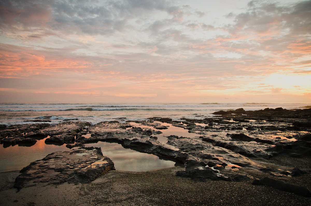 bettewalkerphotography65.jpg
