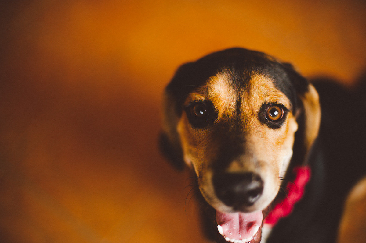bettewalkerphotography92.jpg
