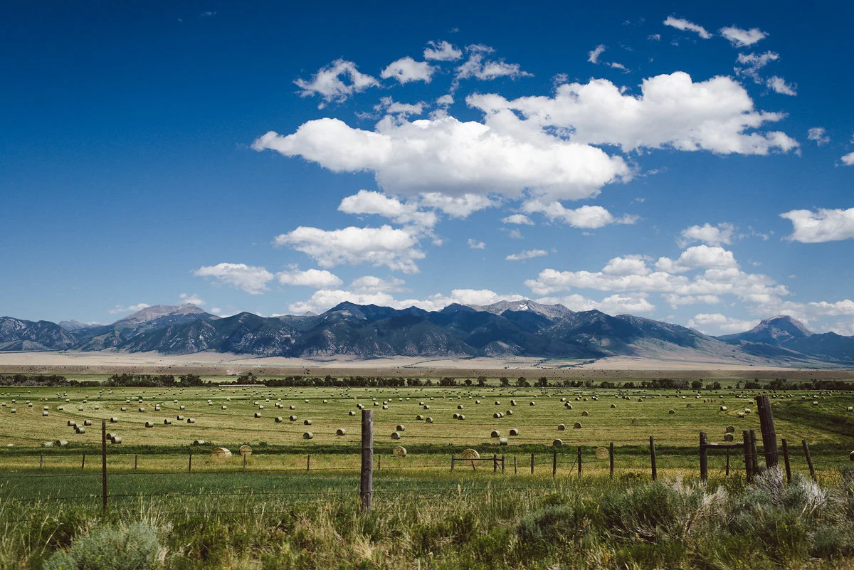 bettewalkerphotography32.jpg