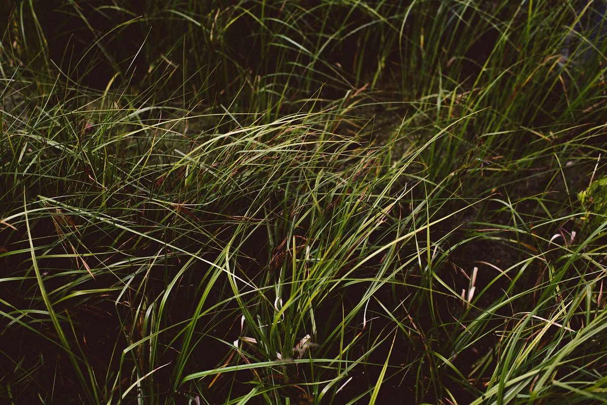 bettewalkerphotography34.jpg