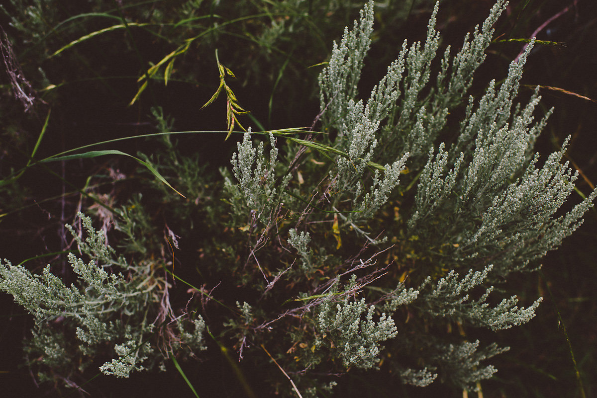 bettewalkerphotography36.jpg