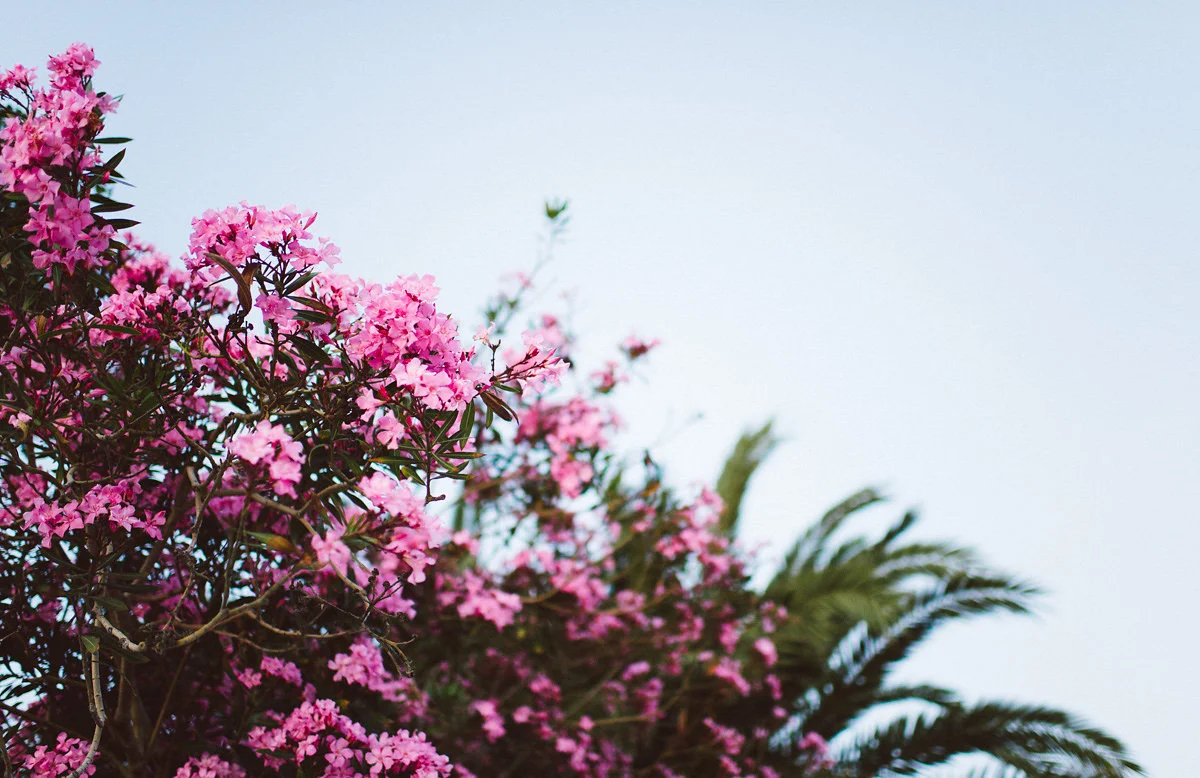 bettewalkerphotography01.jpg