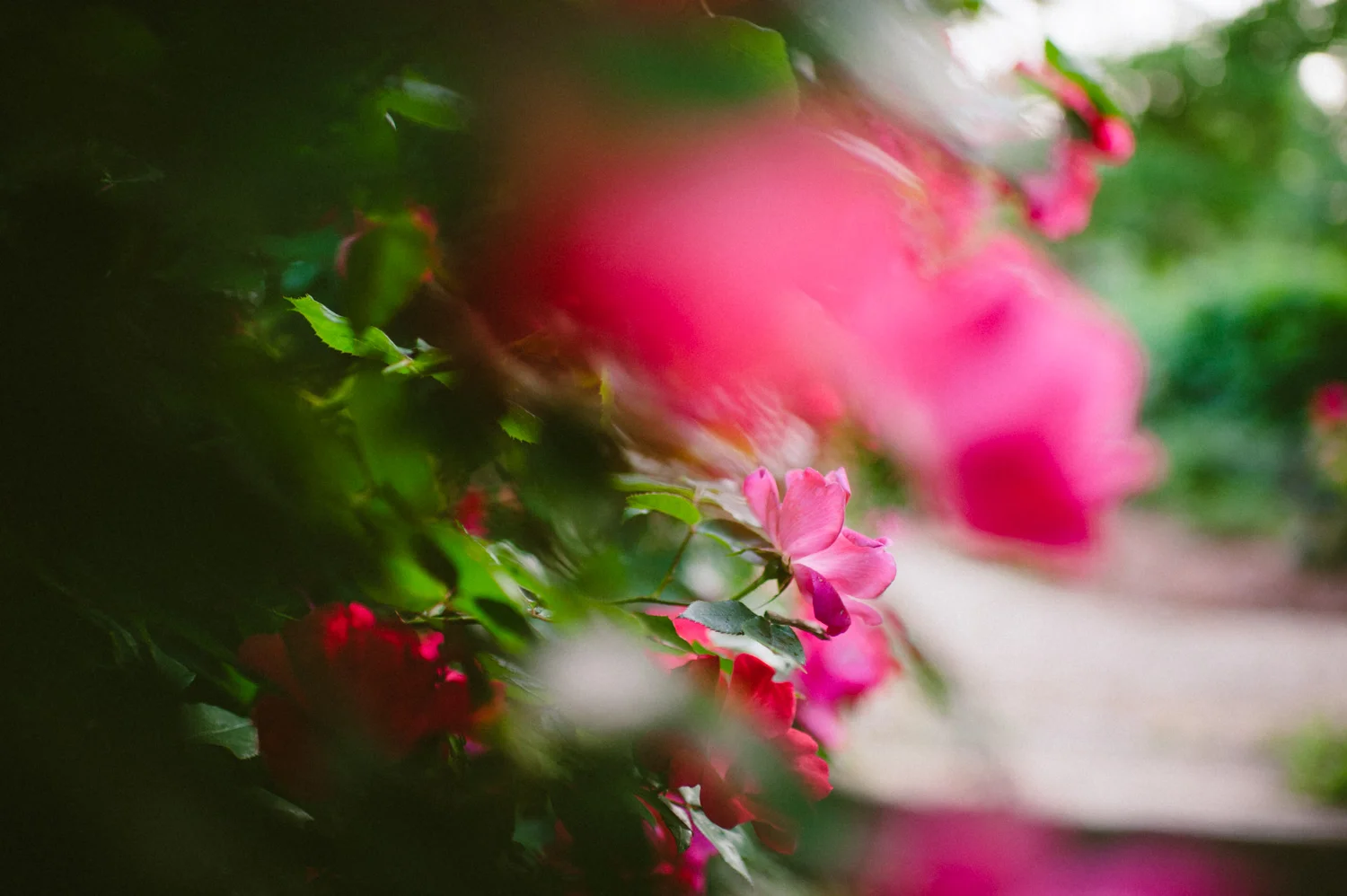 bettewalkerphotography04.jpg