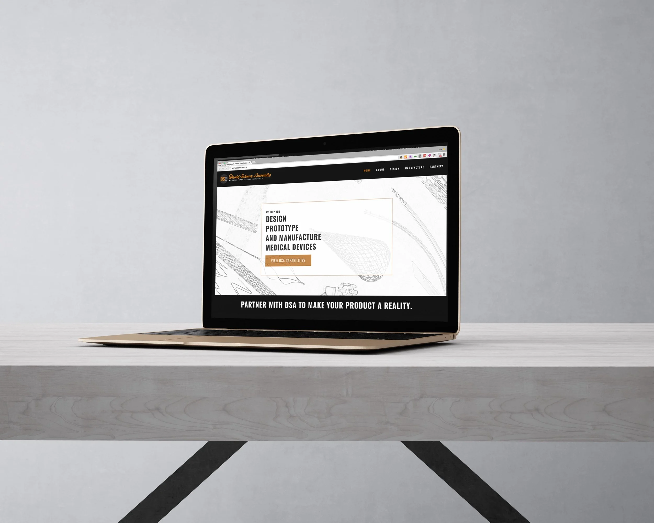 David Schnur Associates Content Page