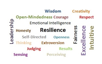 Organizational Development Solutions that enrich your professional value.