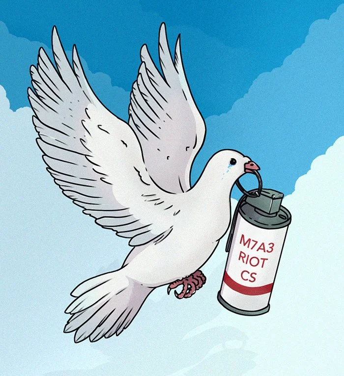 Dove_Cs.jpg